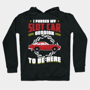 I Paused My Slot Car Session To Be Here Hoodie